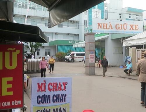 Hoang mang dịch cúm