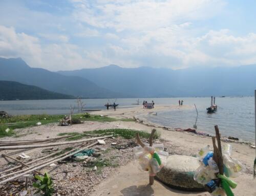 Nghề nuôi hàu