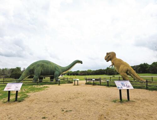 Đi tìm Bronto