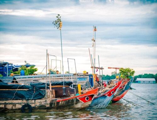 Bẹo và cuộc sống…