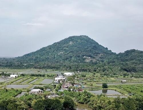 Hòn Đất