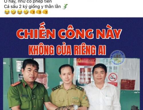 AI thay thế người  trong sản phẩm văn hóa?