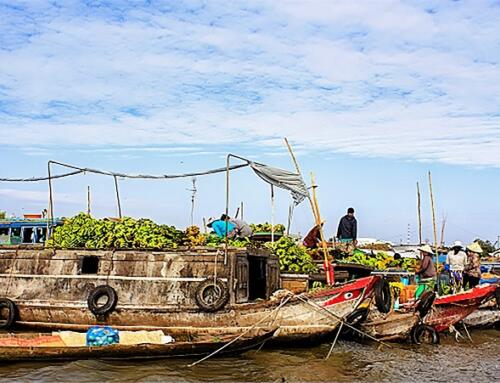 Đi chợ nổi Miền Tây