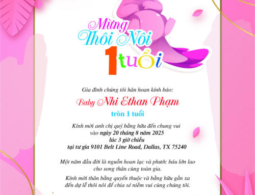 Baby Nhi Ethan Phạm