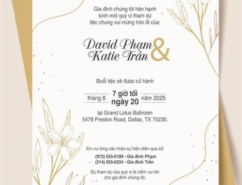 David Phạm & Katie Trần