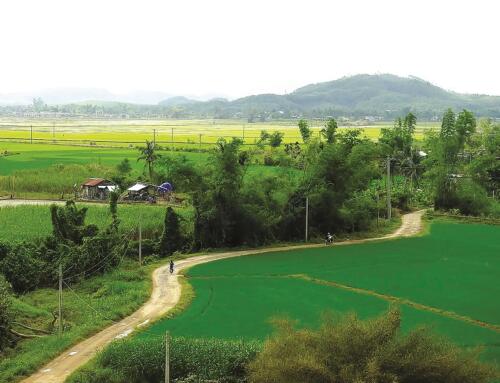 Thương quê