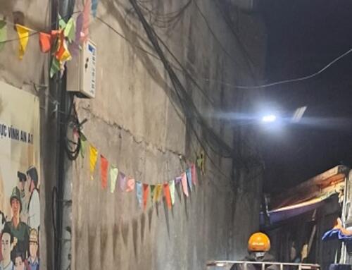 Chuyên chở… “heo trần trùi trụi”