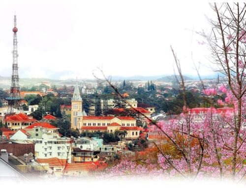 Đà Lạt trên đồi (kỳ 2)
