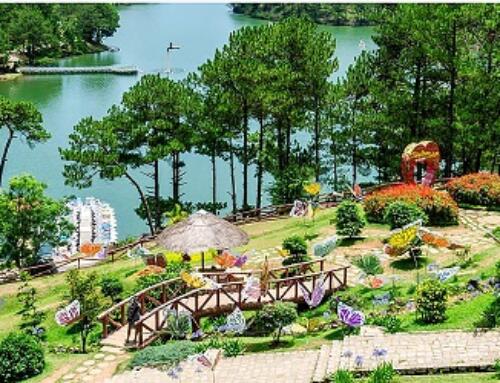 Đà Lạt trên đồi