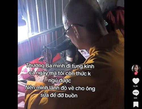 TikTok có gì ngộ?