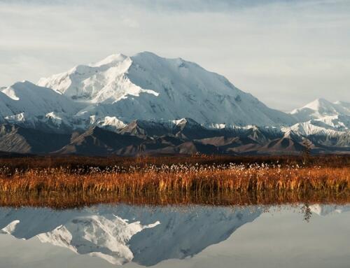 Alaska một chuyến du lịch khó quên