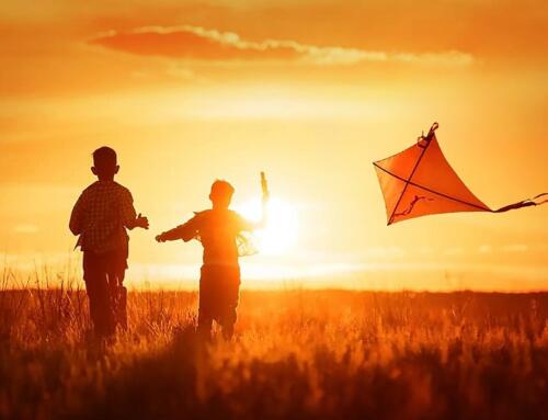 The Kite Runner – Kẻ săn diều
