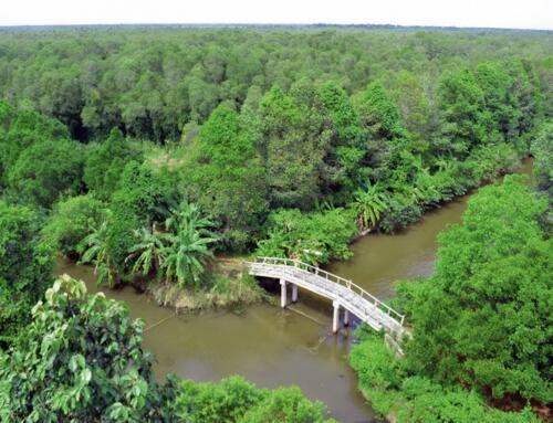 Lá Thư Từ Kinh Xáng 1 (kỳ 11)