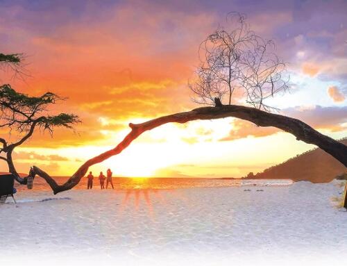 Maui hòn ngọc quý của thiên nhiên