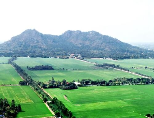 Lá Thư Từ Kinh Xáng 1 (kỳ 7)
