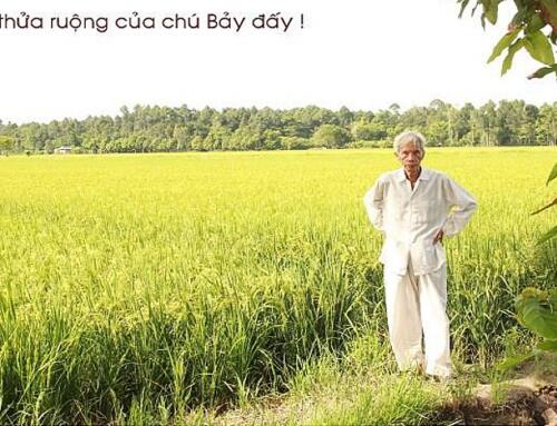 Lá Thư Từ Kinh Xáng 1 (kỳ 8)