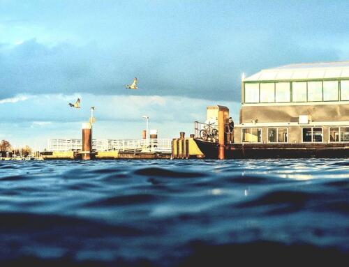 Câu chuyện tử tế