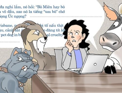 Chuyện dê, chuyện bò, chuyện chó!