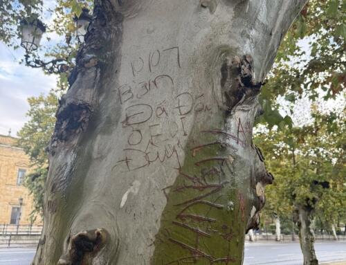 Facebook có gì ngộ (11/13/2025)