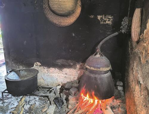 Quen quen lạ lạ (kỳ 2)