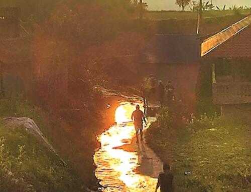 Quen quen lạ lạ (kỳ cuối)