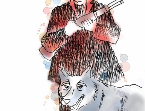 Con sói già ở Knight Point