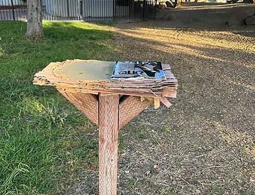 Dấu vết cuối cùng