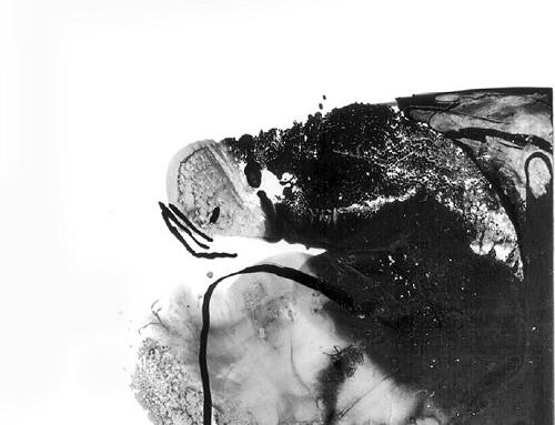 Đi vào mùa đông