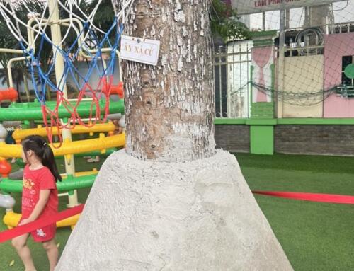 Facebook có gì ngộ (12/31/2025)