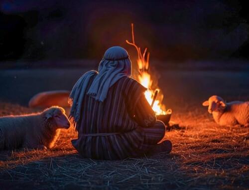 Những đống lửa đêm mùa đông