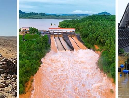 Thiên thần gãy cánh…