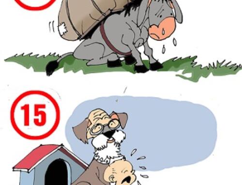 80 năm cuộc đời