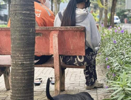 Facebook có gì ngộ (01/22/2026)