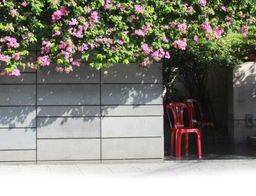 Sài Gòn ngày sắp Tết