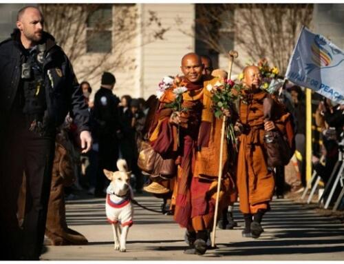 Bước cho Hòa Bình