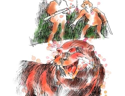 Những con rái cá ở hồ Knight