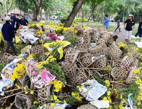 Điệp khúc đập bông