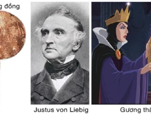 “Gương kia ngự ở trên tường…”