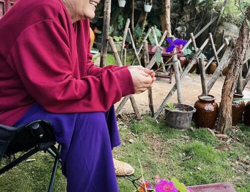 Hạnh phúc của mẹ