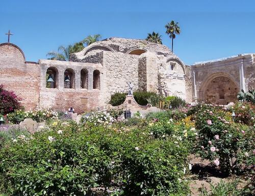 Tháng Ba. chim bay về nhiều