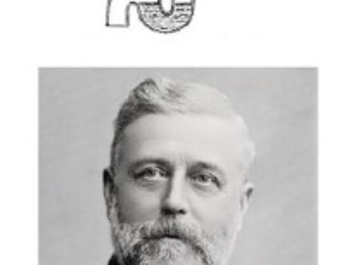 Vệ sĩ giấu… toàn thân