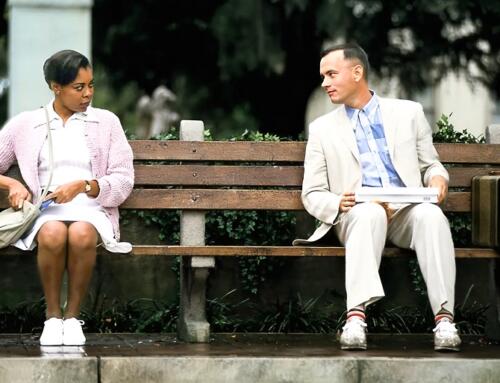 Đời là chiếc lông vũ cánh chim bay theo gió!