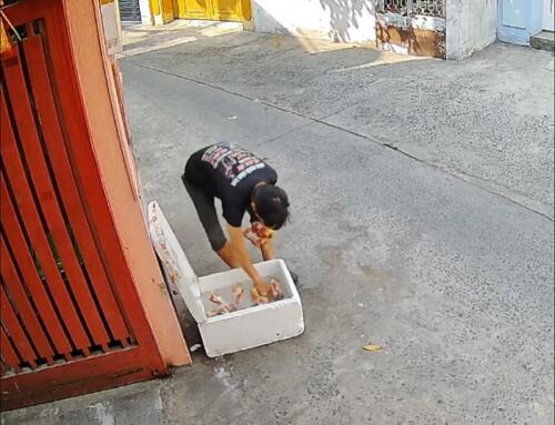 Facebook có gì ngộ (04/23/2026)