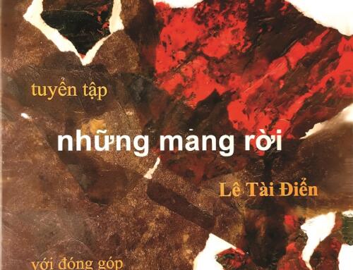 Mùa Xuân & những mảng rời