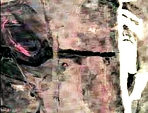 Nguyễn Bá Trạc & Ngọn Cỏ Bồng