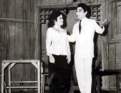 “Nửa đời hương phấn”