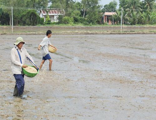 Lá Thư Từ Kinh Xáng 1 (kỳ 37)