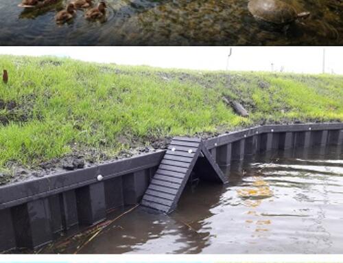 Sống chung với muôn loài