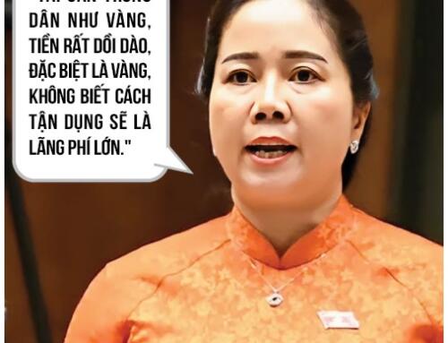 Miệng Nhà Quan ngày 7 tháng 5 năm 2026