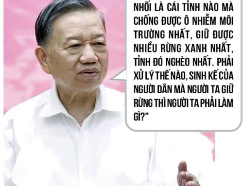 Miệng Nhà Quan ngày 23 tháng 7 năm 2026